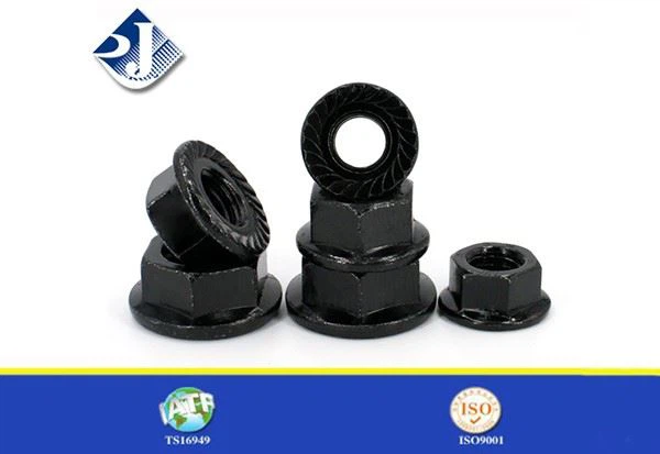 Flange Nuts
